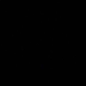 Meet your Posher, Imani